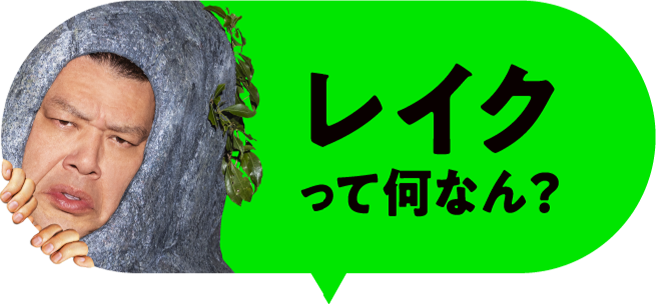レイクって何なん？